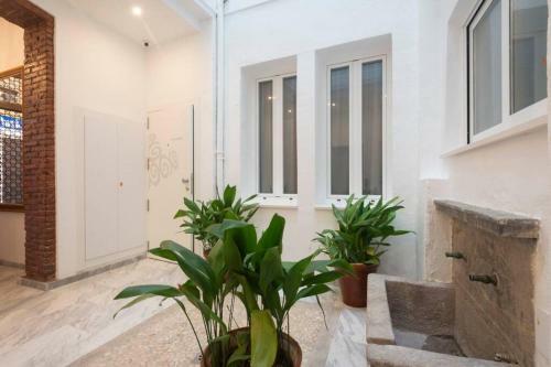 Apartamento Rosarioseis Catedral