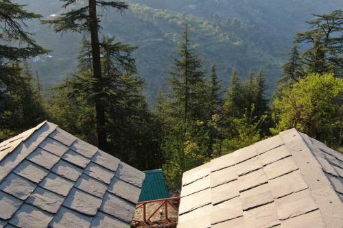 Forest Escape Cottages
