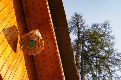 Forest Escape Cottages