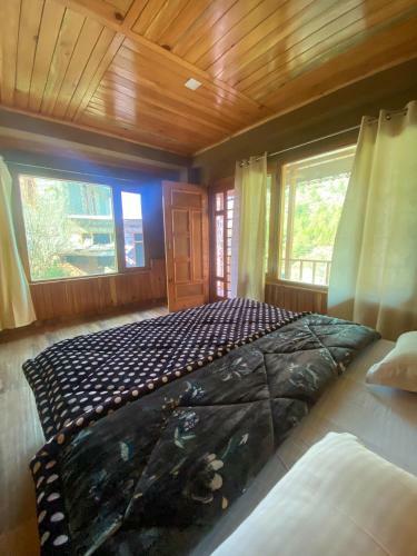 Bed & Breakfast Lost Cafe & Stays