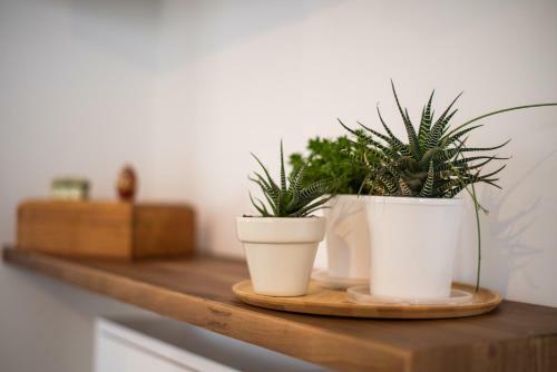 Tuguest S. Jer�nimo Apartment