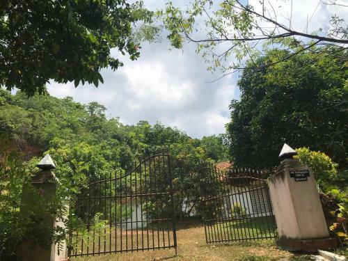 Hostal Cinnamon Mount Villa