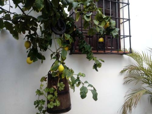 Posada Fery & Nico Guesthouse