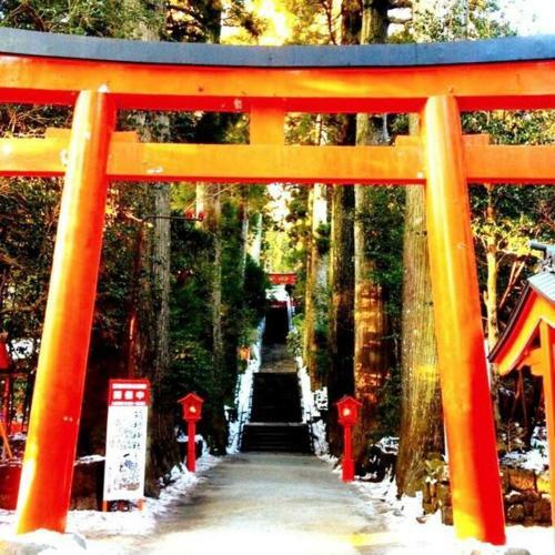 Forest Villa Hakone