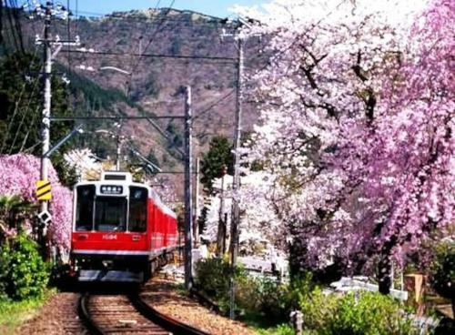 Forest Villa Hakone