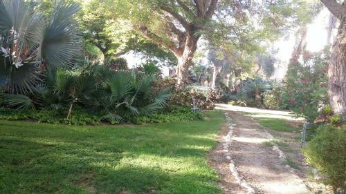 Ein Gedi Family Apartment