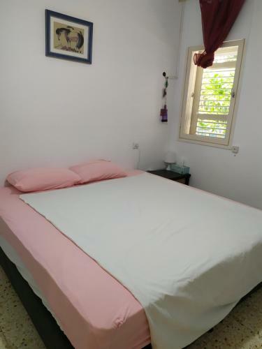 Ein Gedi Family Apartment