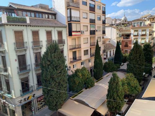 Apartamento Eco Center Granatensis (�tico-catedral)
