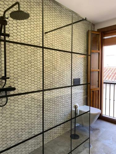 Apartamento Eco Center Granatensis (�tico-catedral)