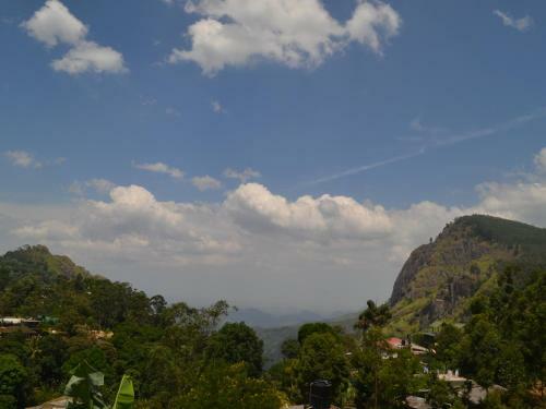 Hostal The Rock Face