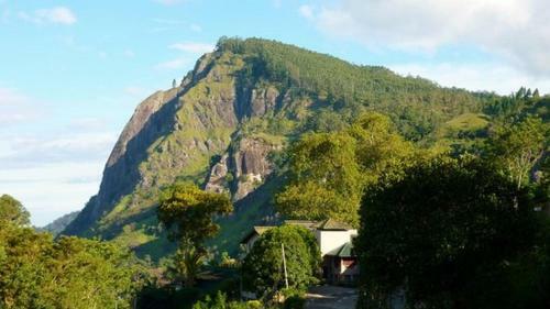 Hostal The Rock Face