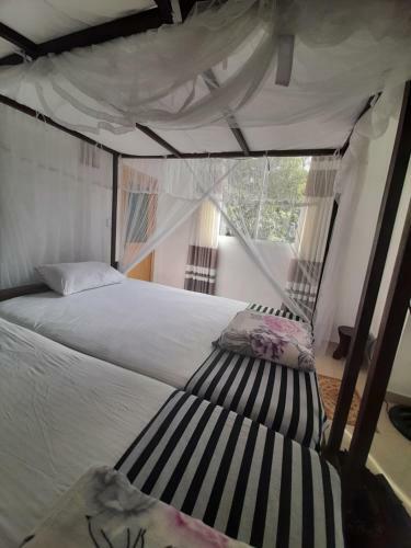 Welcome Homestay