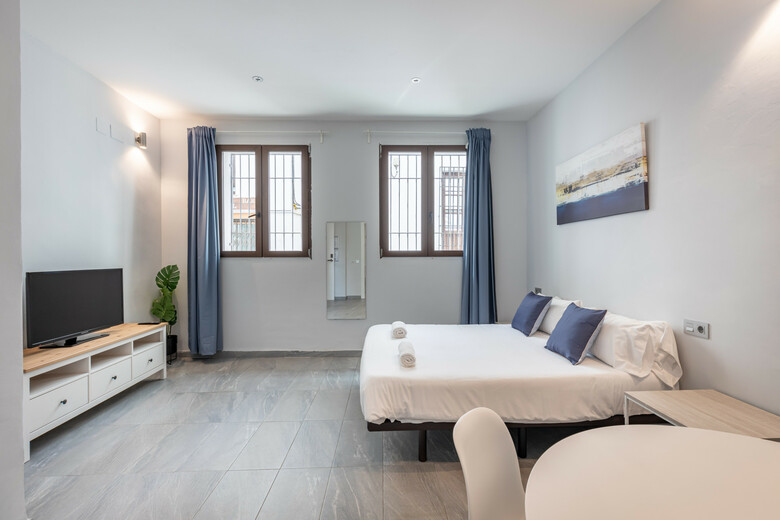 Apartamentos Realejo Granada Centro 3000