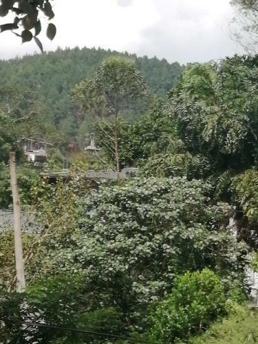 Sudumal Cottage