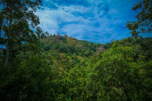 Ella Waterfall View