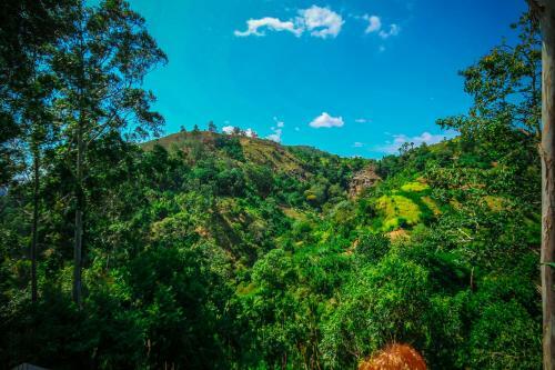 Ella Waterfall View