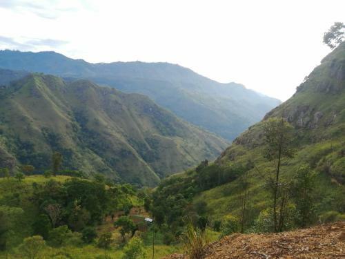 Noname Hostel And Cafe