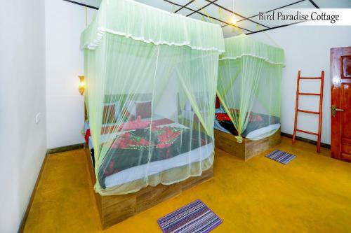 Bird Paradise Cottage