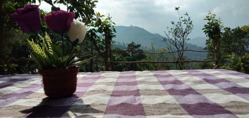 Apartamento Hidden Slope Cottage