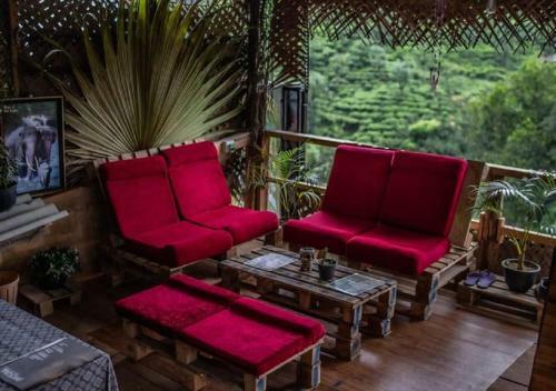 Albergue Tree House Cafe Ella