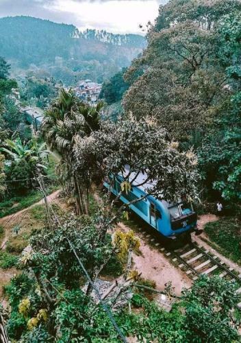 Albergue Tree House Cafe Ella