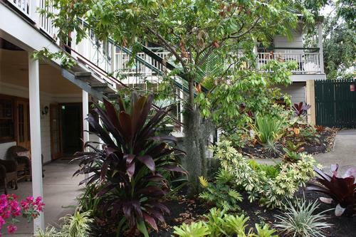Hostal Ellie's Guest House