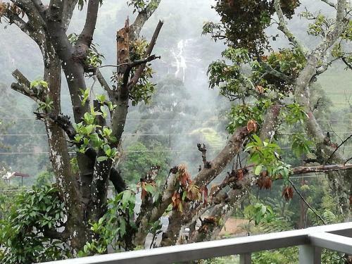 Hostal Rock Grand View