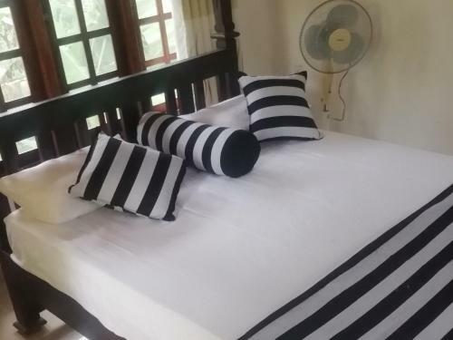 Hostal Whiteflowerhomestayella