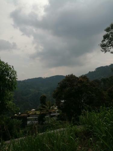 Hostal Whiteflowerhomestayella