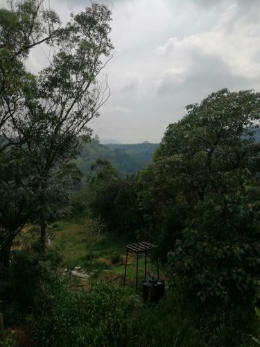 Hostal Whiteflowerhomestayella