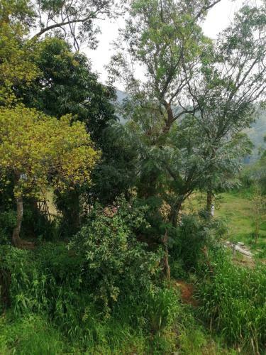 Hostal Whiteflowerhomestayella