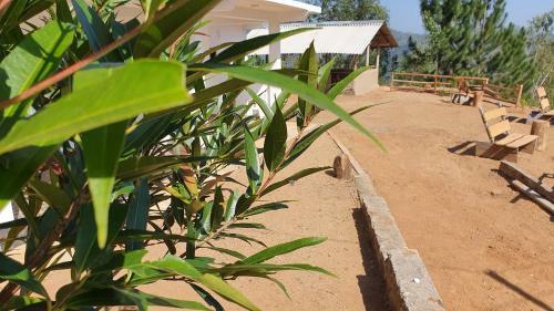 Bed & Breakfast Villa Nature Hights