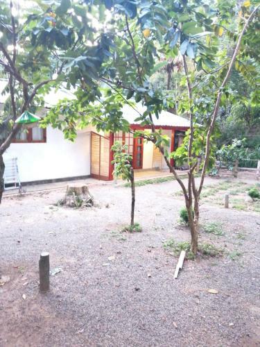 Ella Foret Hostel