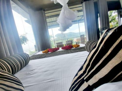 Bed & Breakfast Aloft View