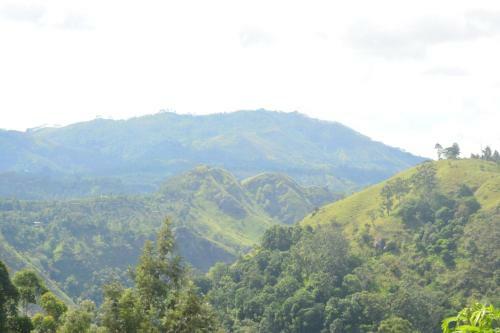 Chill Wood Homestay Ella