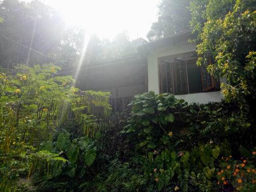 Sri Bhavan Ella