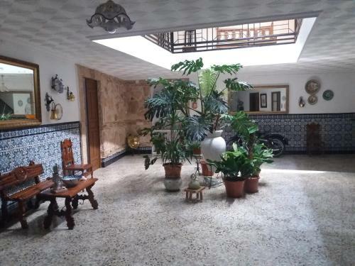 Casa Labradora