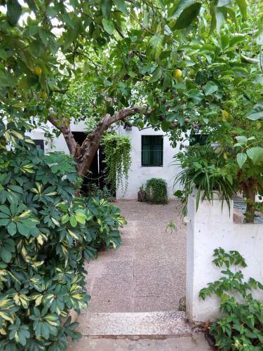 Agroturismo Las Jimenas