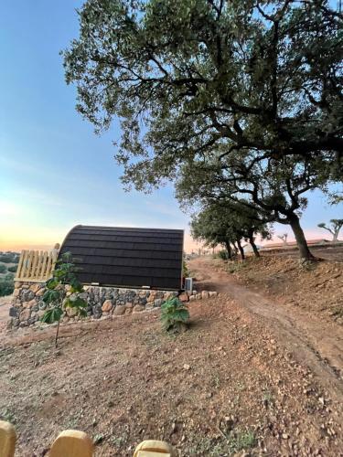 Cork Valley Toledo Pod House 5