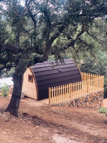 Cork Valley Toledo :: Pod House 4
