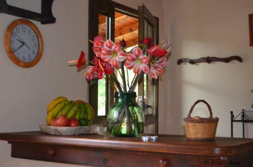 Casa Jonay