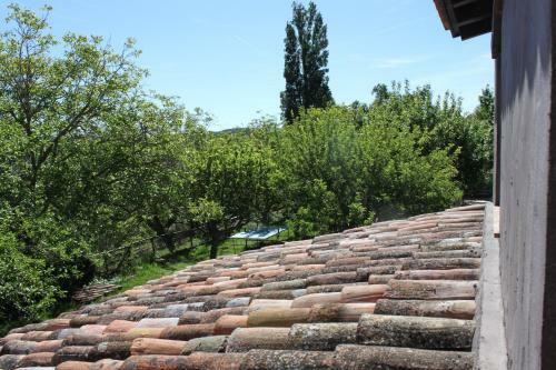 Agroturismo El Zarzal
