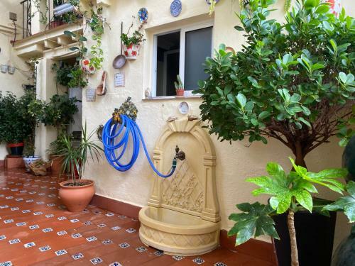 Casa Pepe