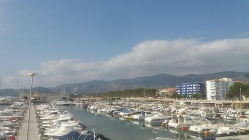 Apartamento Primera L�nea De Mar