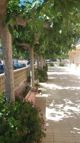 Apartamento San Roc