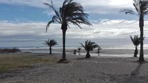 Apartamento Oliveres III