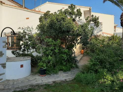 Casa Franch
