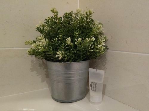 Apartamento Claudria Mar