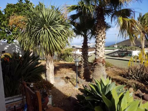 Apartamento Palmeras