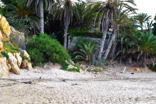 Apartamento Con Hermoso Jard�n Y AC